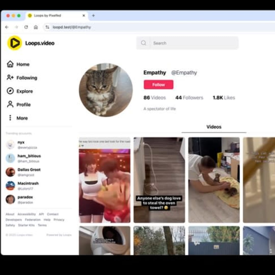Pengembang Aplikasi Open Source Tantang Dominasi Meta dan TikTok Lewat Kickstarter