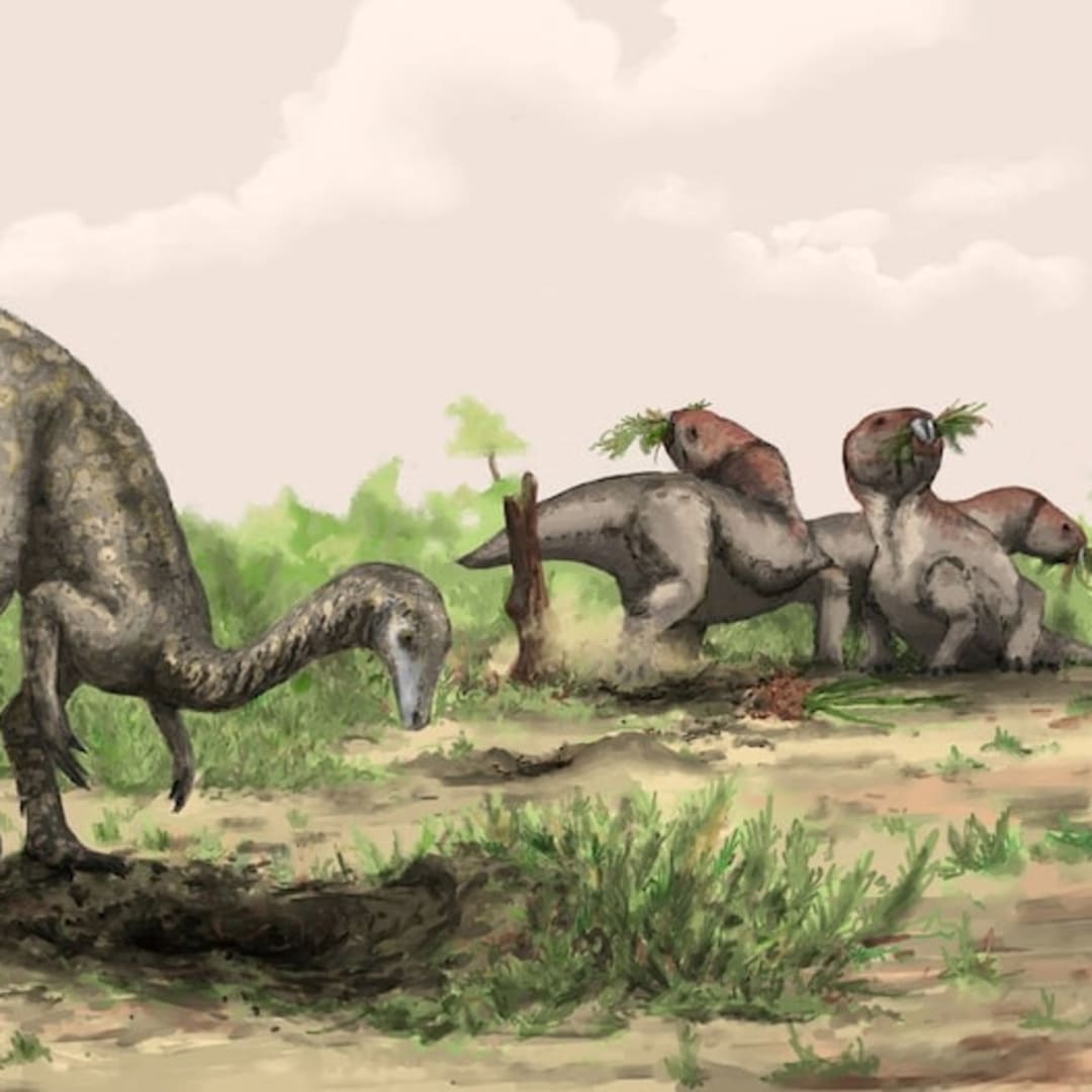 Peneliti Temukan Lokasi Asal Dinosaurus di Gurun Sahara dan Hutan Amazon