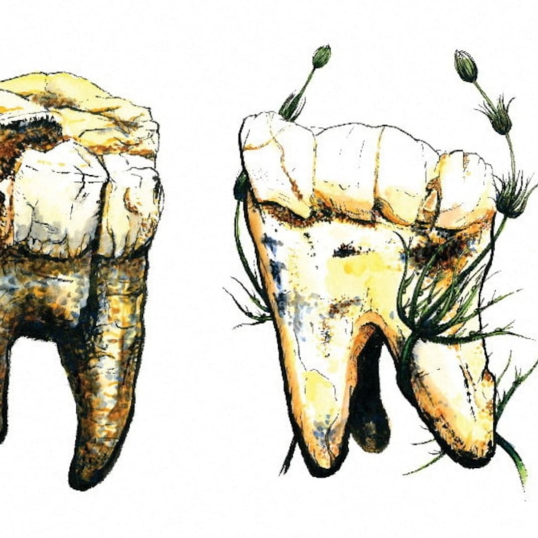Penelitian Baru: Australopithecus Mengandalkan Makanan Tumbuhan, Sedikit Daging