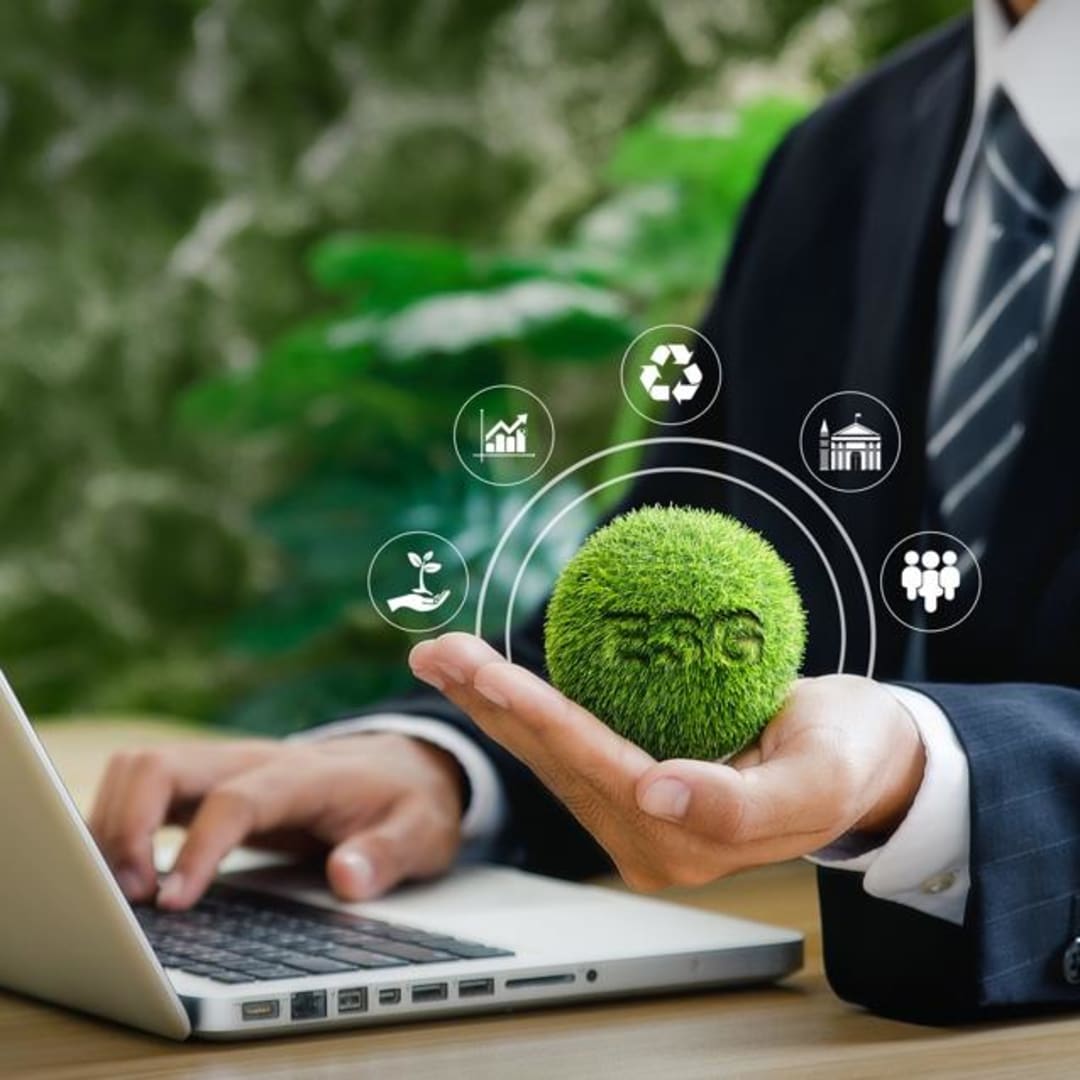 Perusahaan Terdepan di Energi, Penerbangan, dan Dekorasi Rumah Ramah Lingkungan 2025