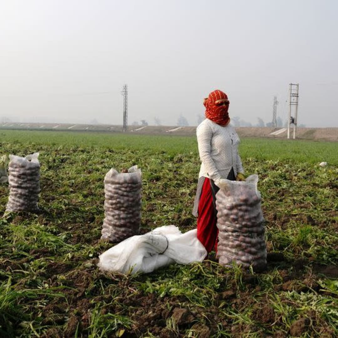 Anggaran India 2025: Pemotongan Pajak Jadi Andalan, Reformasi Tertunda