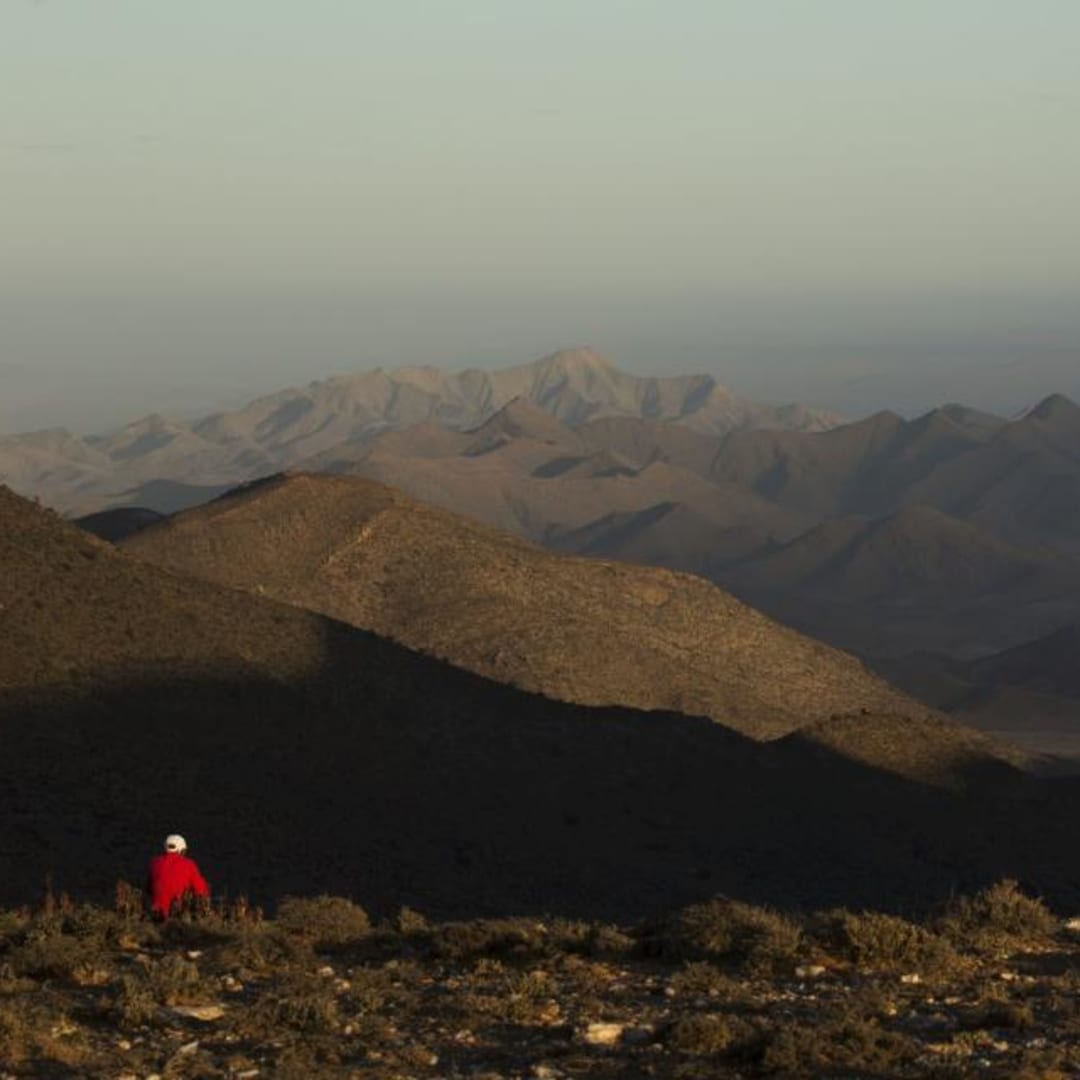 Trump Hentikan Bantuan AS Karena Aturan Ekspropriasi Lahan di Afrika Selatan