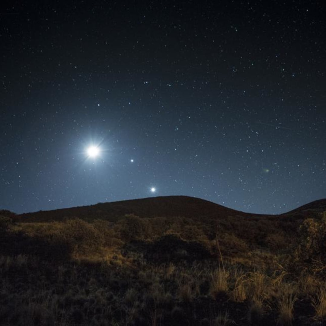 Panduan Mingguan Menikmati Venus, Bulan, dan Bintang Terang di Langit Musim Dingin