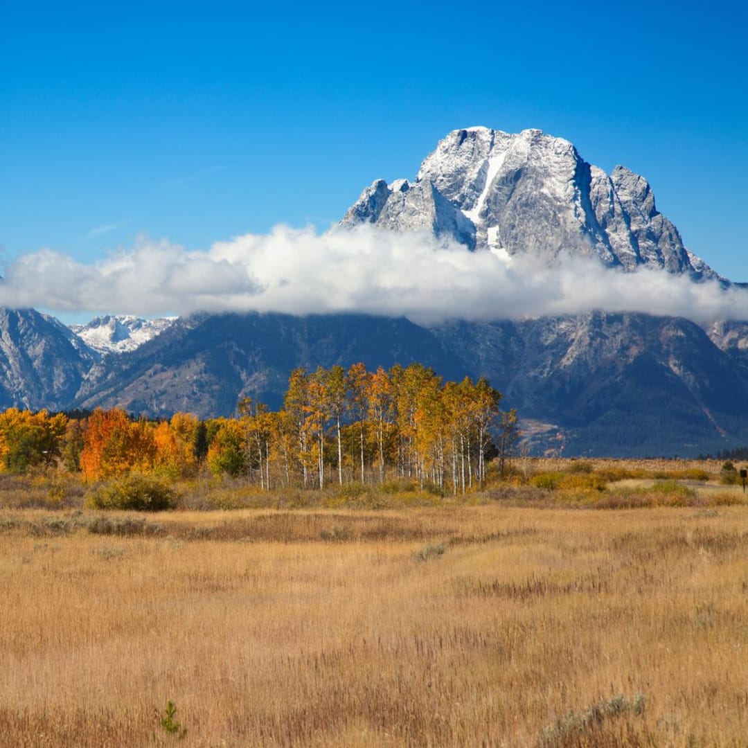 Wyoming Berjuang untuk Transparansi dan Keadilan dalam Proyek Blockchain Negara Bagian