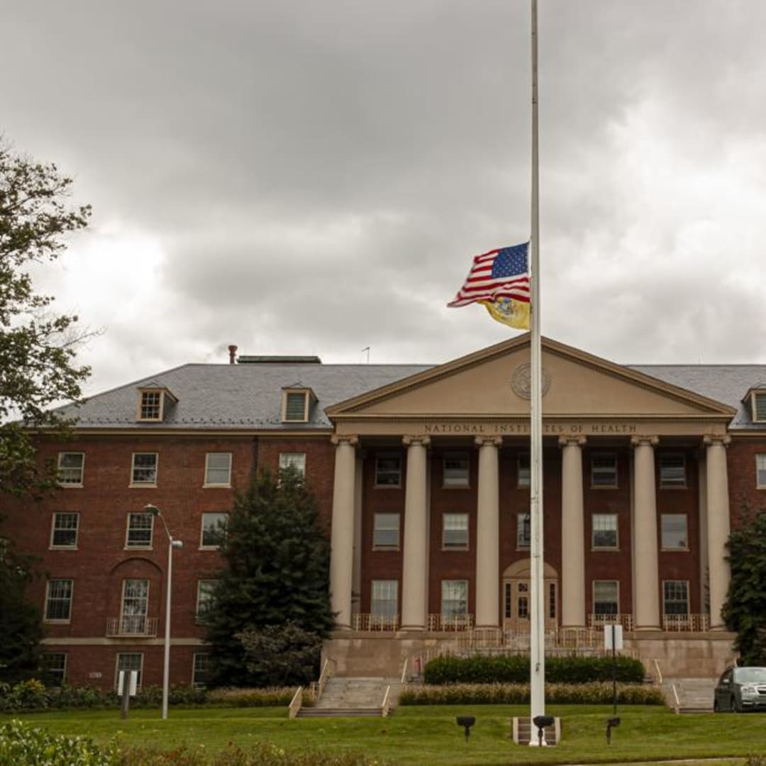Pemotongan Dana NIH 15%: Krisis Besar untuk Riset dan Universitas di AS