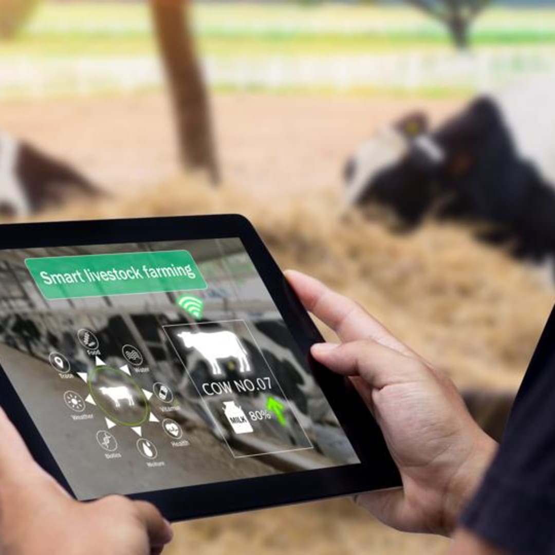 Almarai Kembangkan AI dan Investasi Besar untuk Lindungi Ketahanan Pangan Timur Tengah