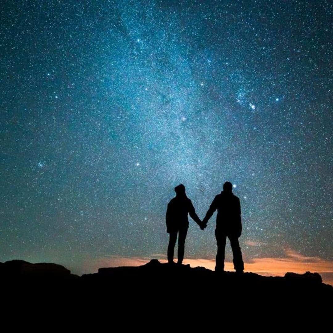 Evolusi Kehidupan Cerdas Bukan Keberuntungan, Melainkan Proses Alami Planet