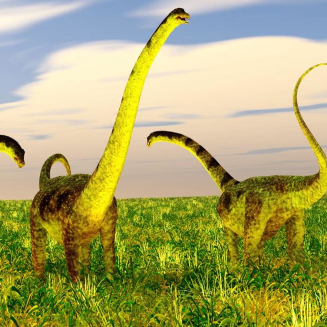 Penemuan Dinosaurus Raksasa Jurassic Baru di Yunnan Tambah Wawasan Evolusi