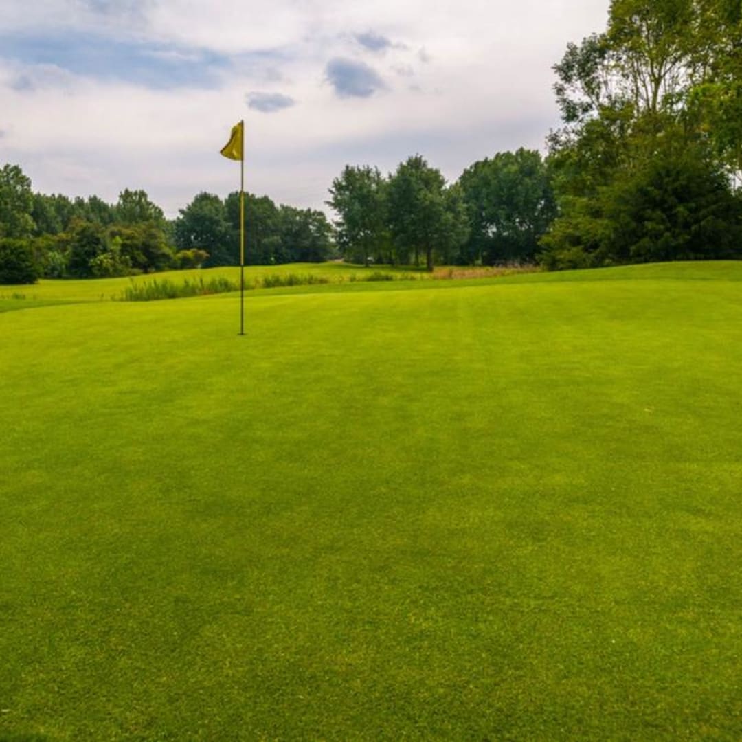 Lapangan Golf Lebih Luas dari Energi Terbarukan, Potensi Konversi Besar