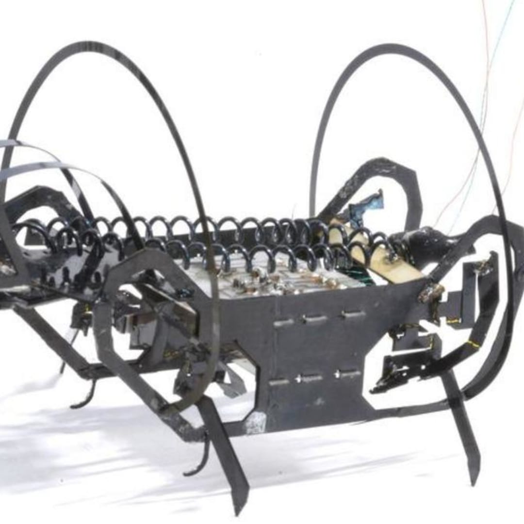 Robot Microrobot Gesit Harvard dengan Lompat Mirip Springtail untuk Penyelamatan