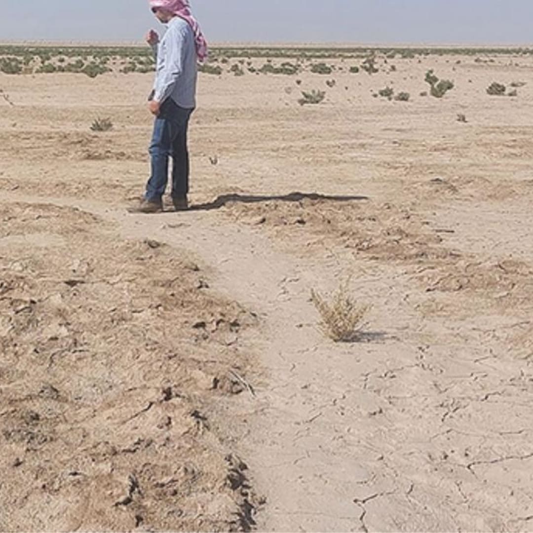 Penemuan Jaringan Kanal Irigasi Kuno di Eridu Ungkap Pertanian Mesopotamia