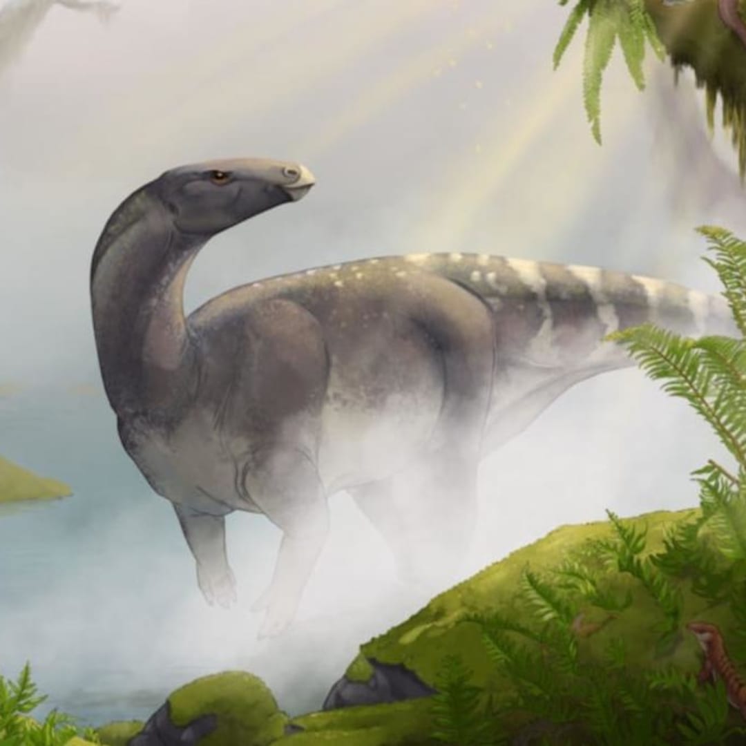 Penemuan Fosil Dinosaurus Jurassic Pertama dan Terlengkap di Skotlandia