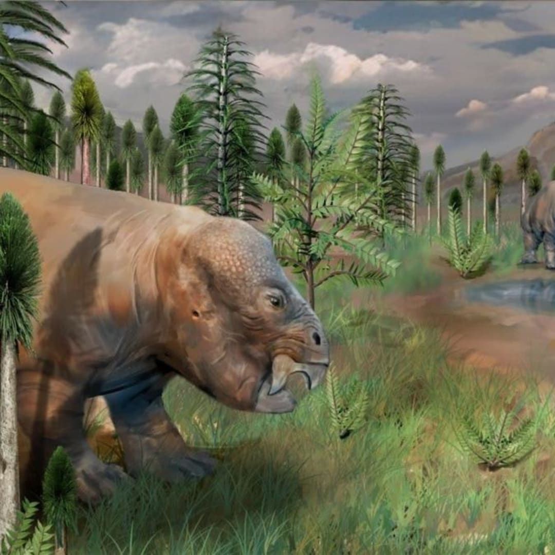 Penemuan Oase Kehidupan di Masa Kepunahan Massal Akhir-Permian di China