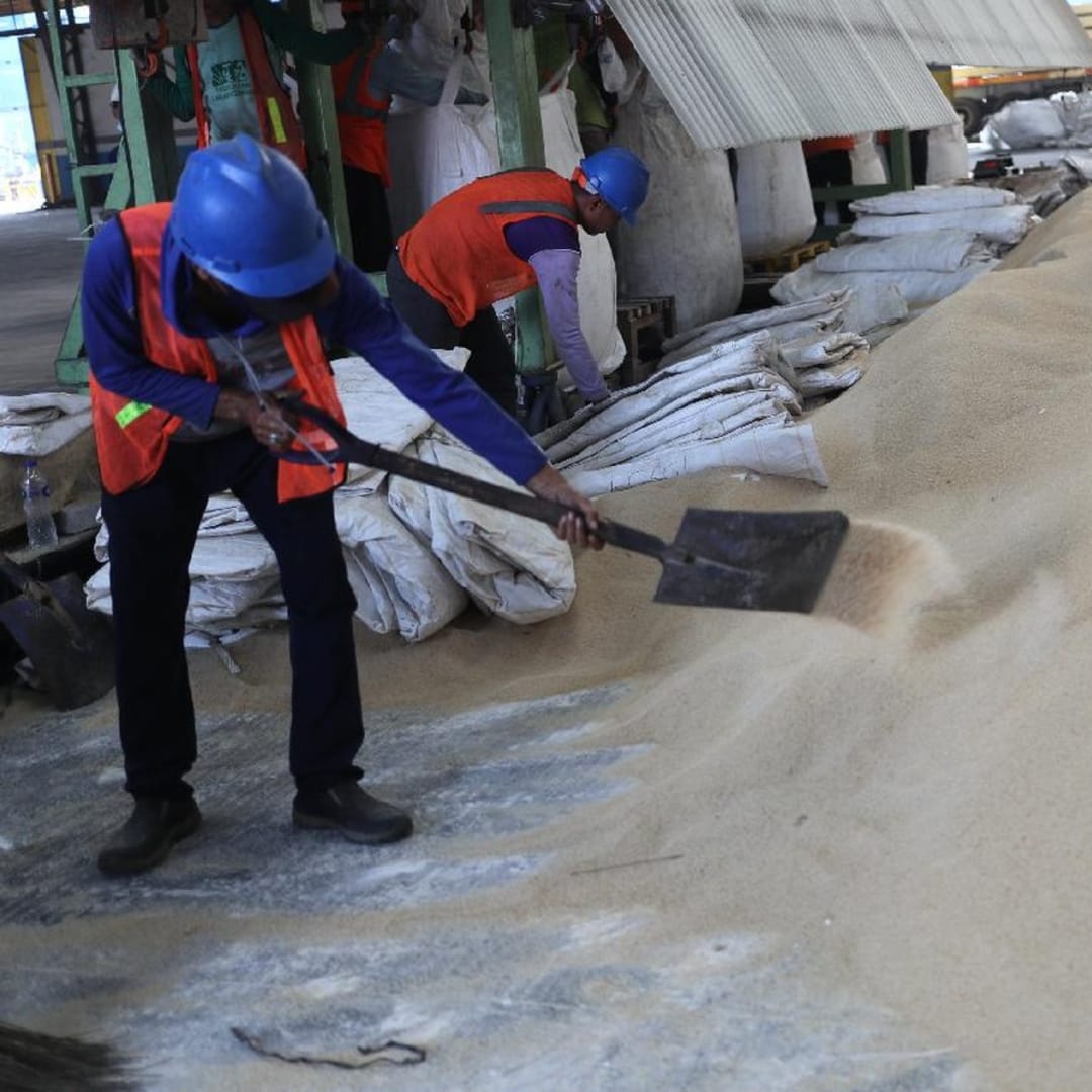 Pemerintah Impor 200 Ribu Ton Gula untuk Jaga Stok dan Harga Pangan