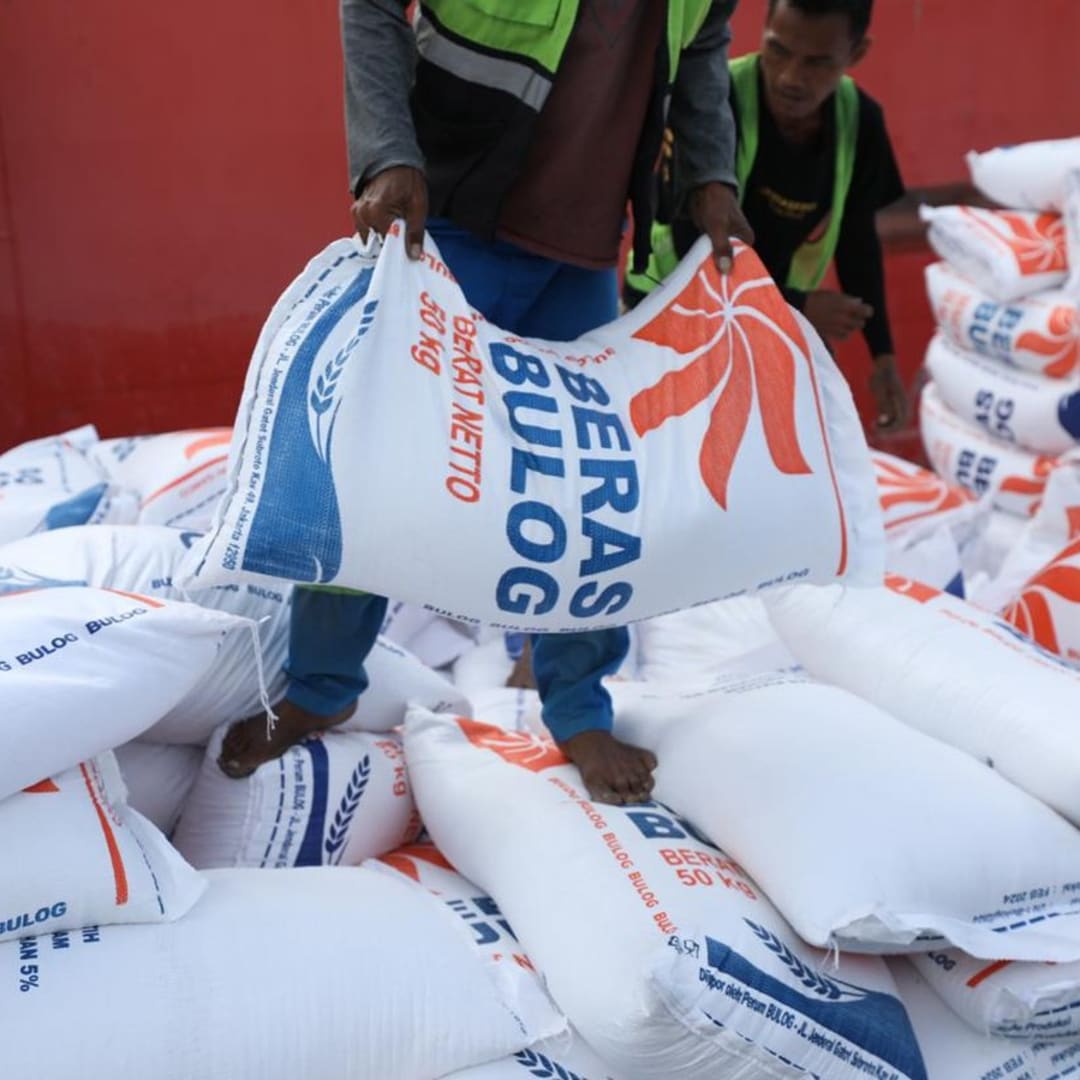 Pemerintah Tegaskan Tidak Ada Impor Beras Baru Tahun 2025, Ini Penjelasannya