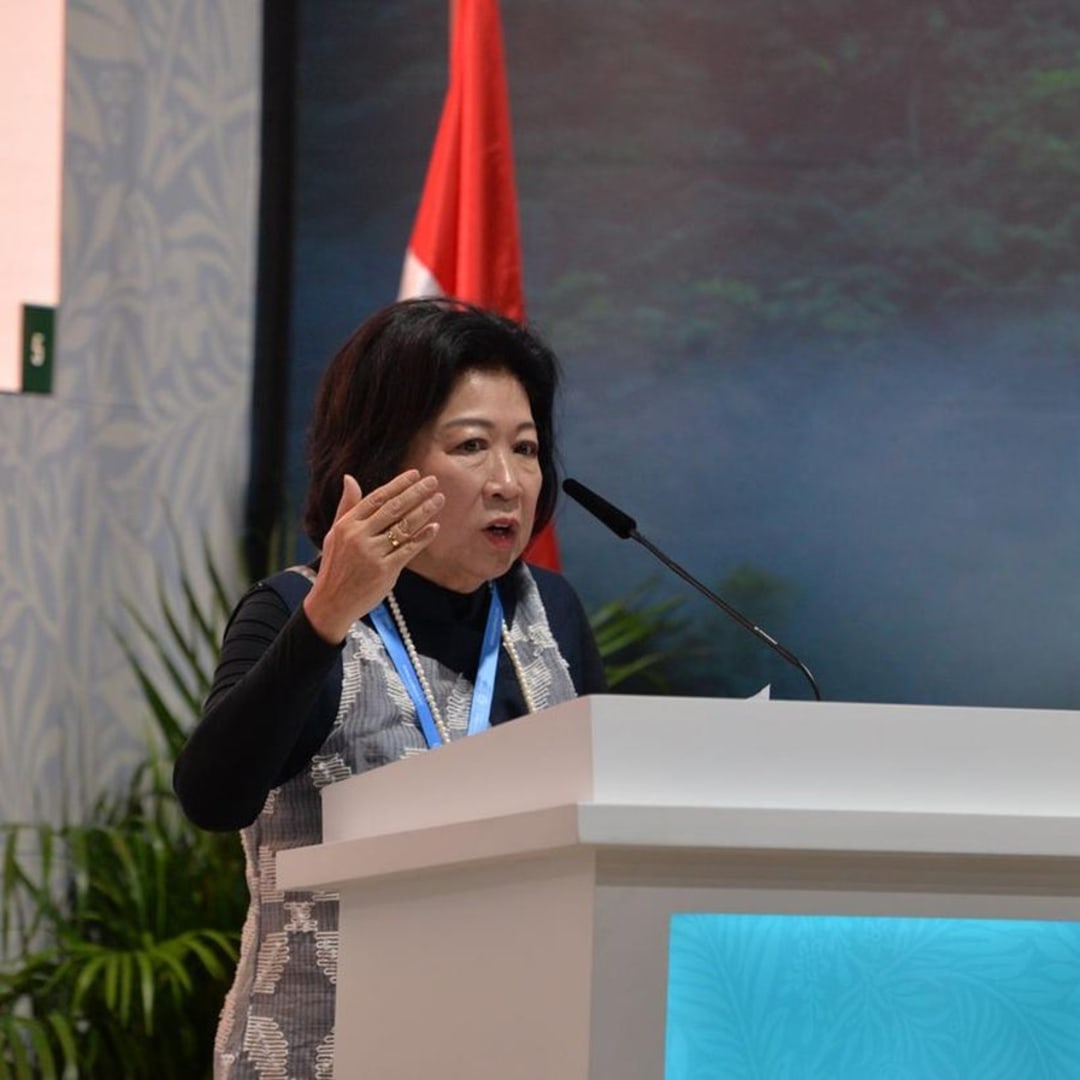 Mari Elka: Penurunan Pasar Saham RI Sebabkan Persepsi dan Ketidakpastian