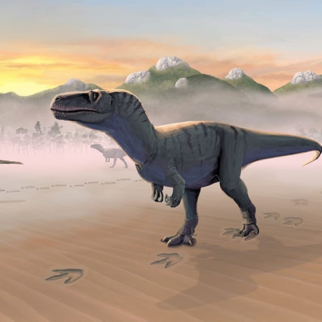 Jejak Langka Dinosaurus di Pulau Skye Ungkap Kehidupan Jurassic 167 Juta Tahun Lalu