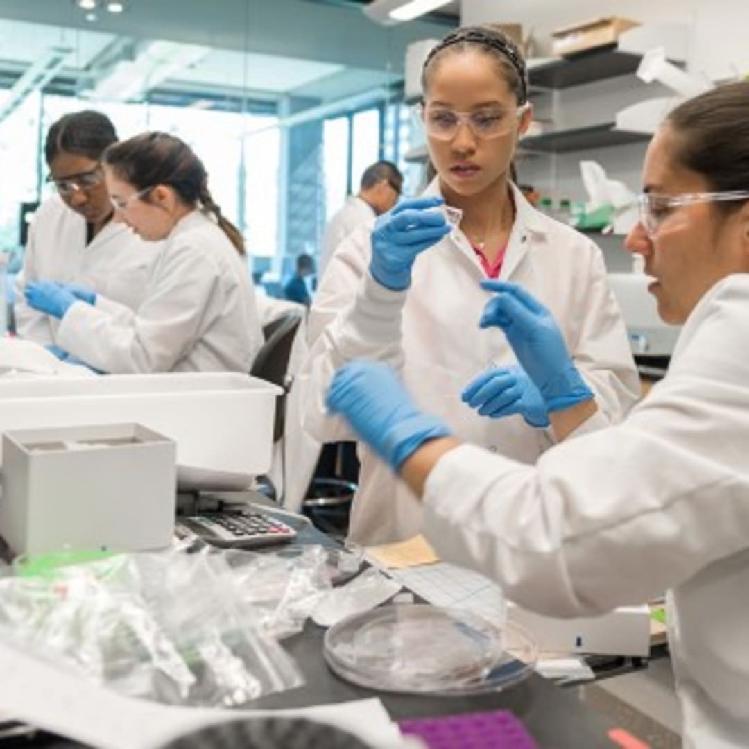 NSF Pangkas Jumlah Fellowship Peneliti Muda Hingga Setengah, Masa Depan Sains Terancam