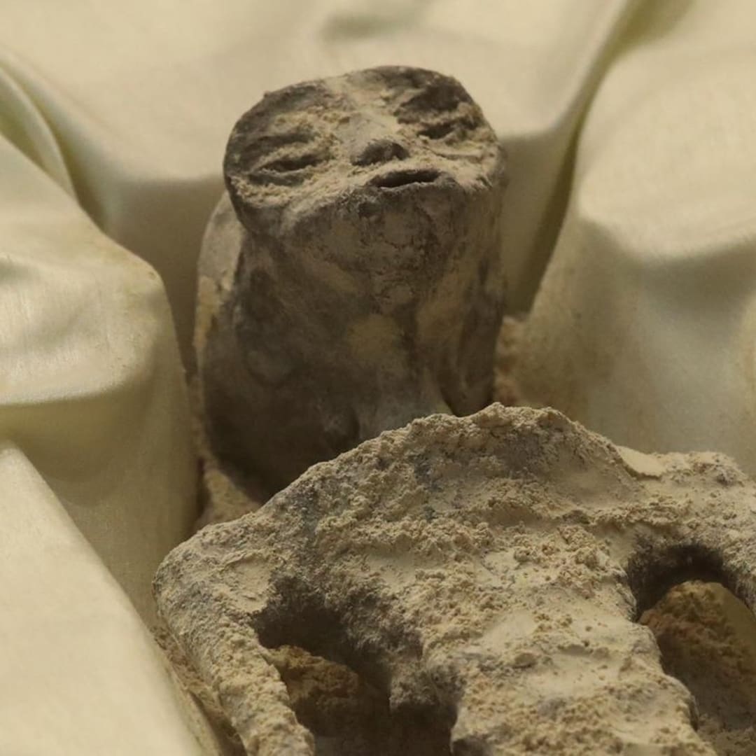 Bukti Baru Kehidupan di Planet K2-18b Dekat Bumi Ditemukan Ilmuwan