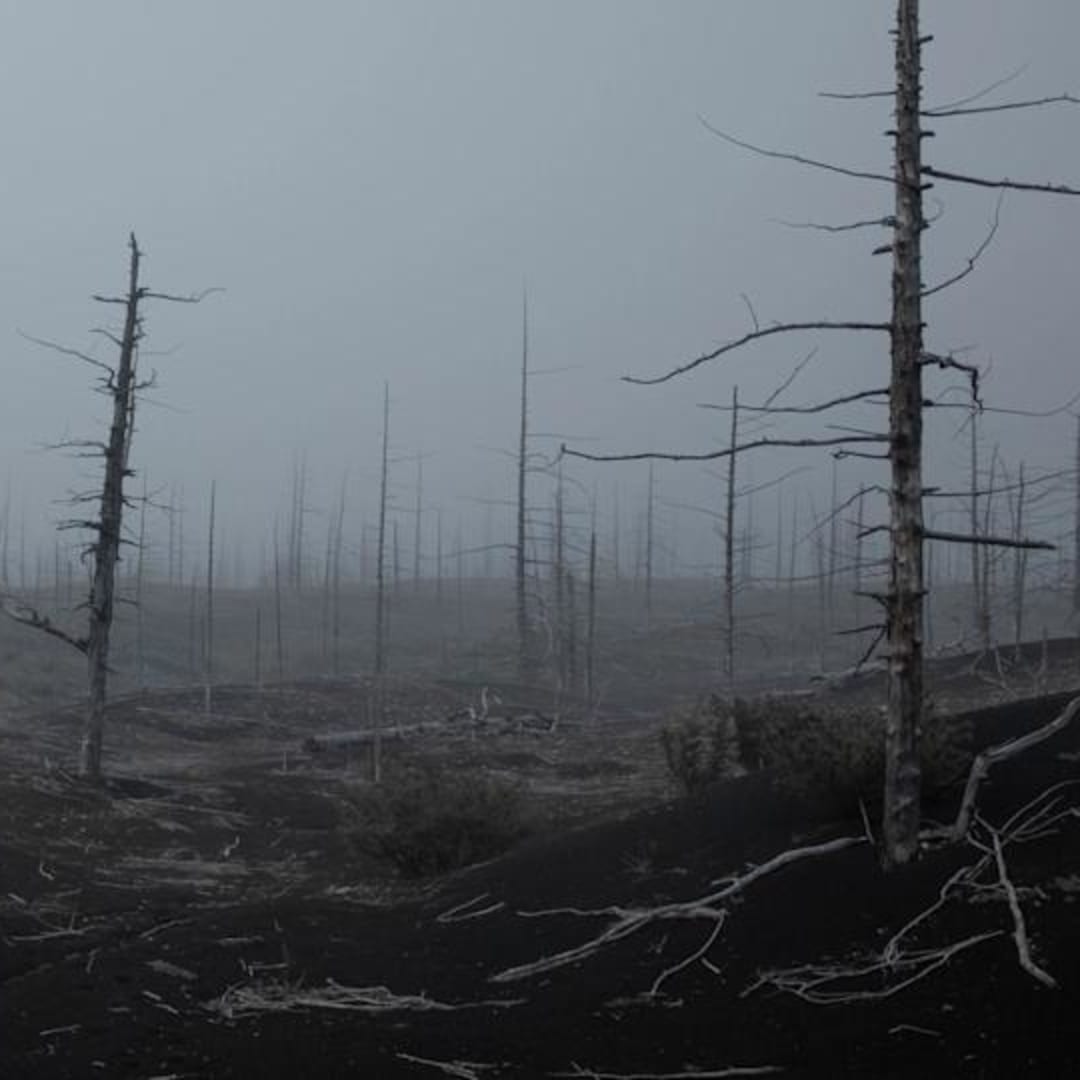 Viant Technology Bisa Maksimalkan Nilai Saham dengan Investasi Bitcoin