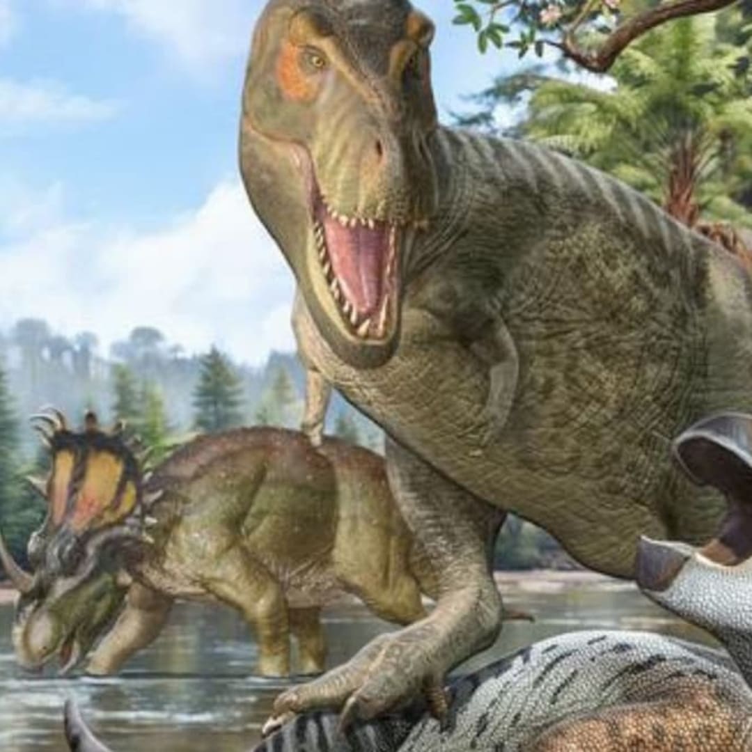 Asal Usul Tyrannosaurus Rex: Nenek Moyang Berasal dari Asia, Bukan Amerika