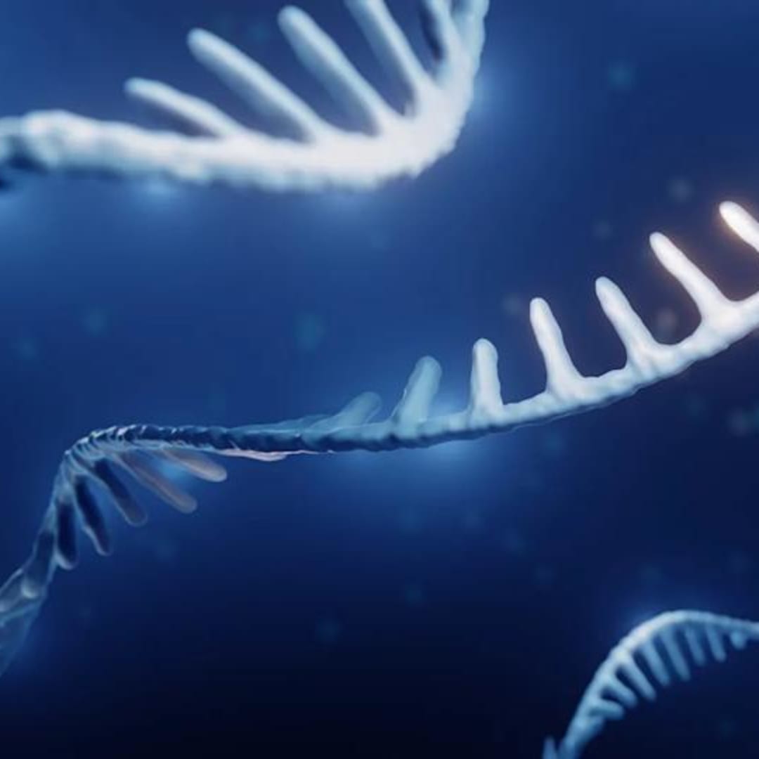 Terobosan Obat Baru Targetkan RNA ‘Sampah’ untuk Atasi Penyakit Jantung