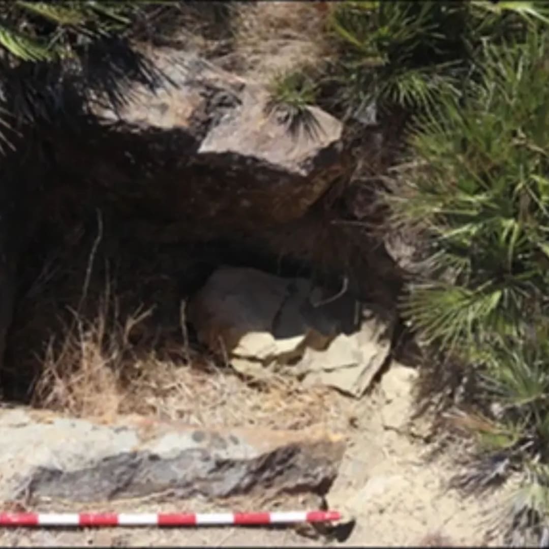 Menguak Rahasia Semenanjung Tangier: Gerbang Budaya Kuno Afrika dan Eropa