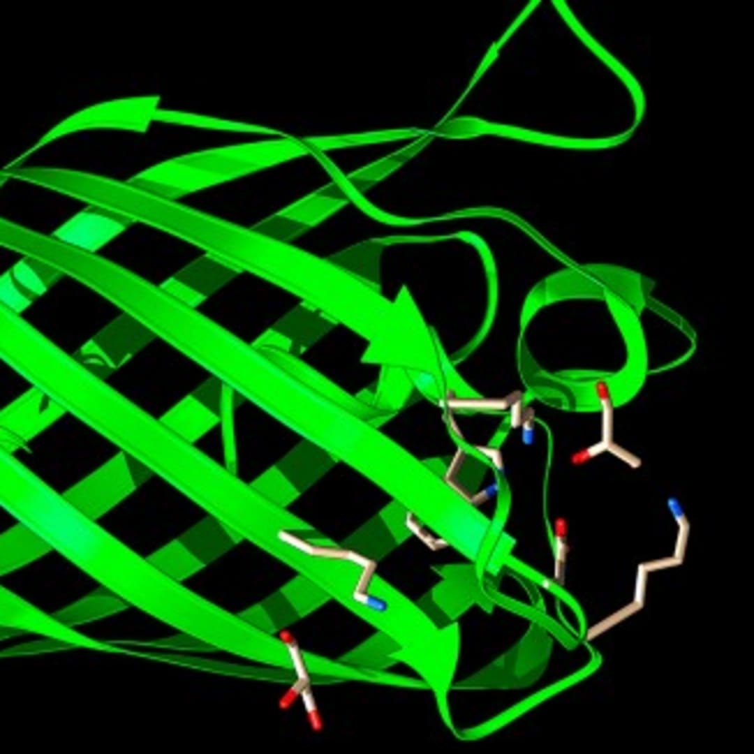 AI dengan Bahasa Sehari-hari: Revolusi Desain Protein untuk Masa Depan Bioteknologi