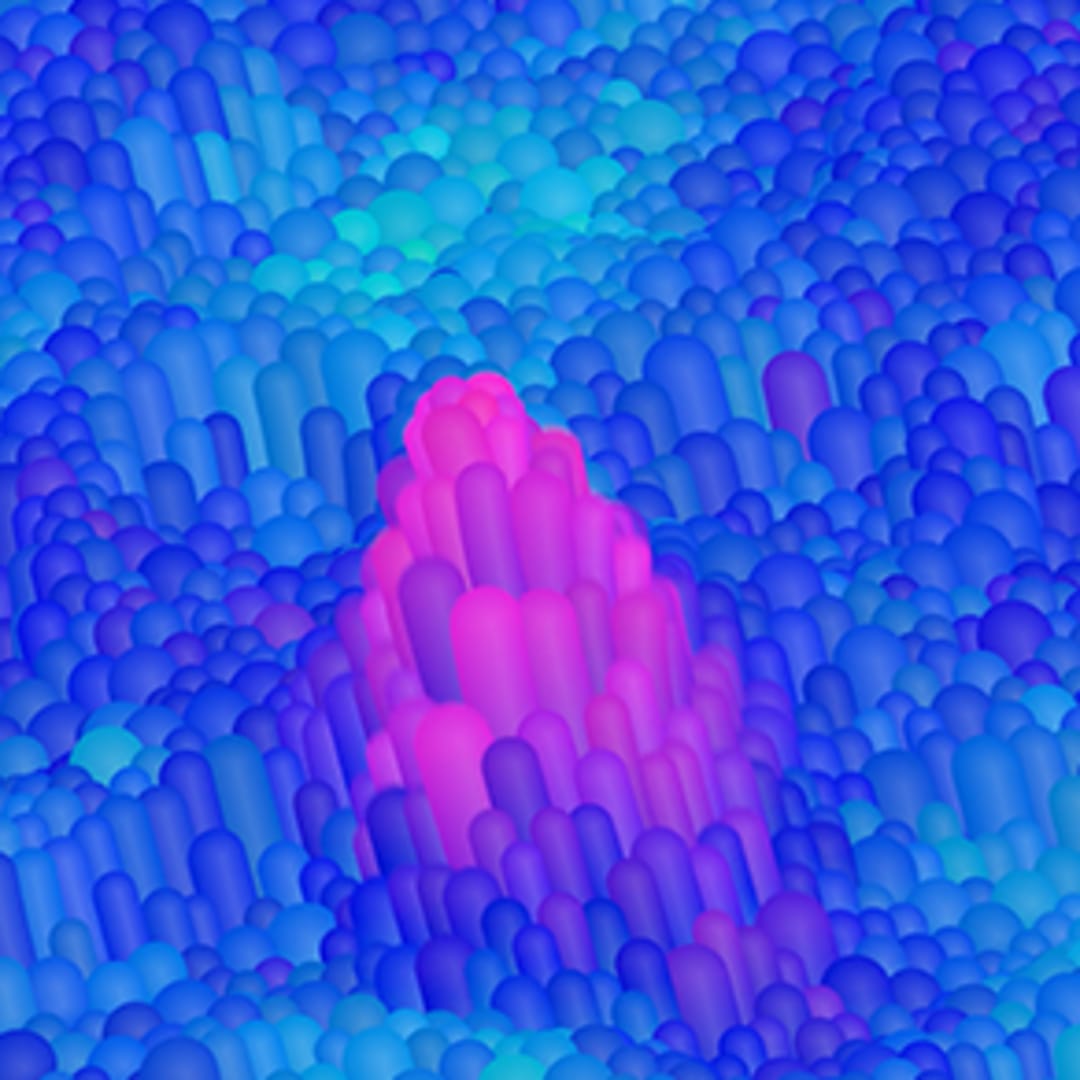 Penelitian Baru Ungkap Bahwa Ekosistem Beragam Lebih Rentan Diserang Spesies Invasif