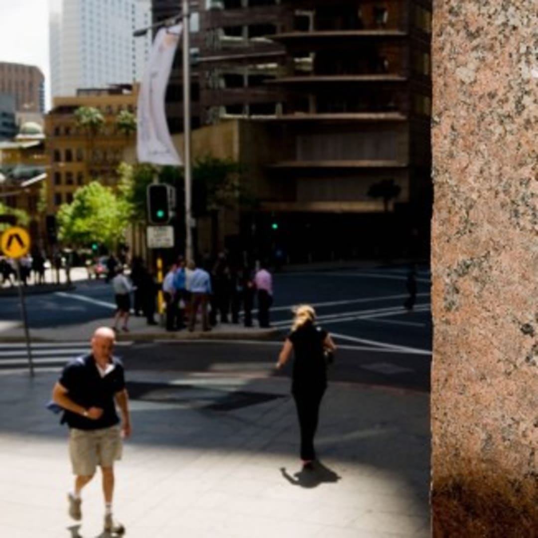 Ngengat Bogong Gunakan Bintang untuk Navigasi Migrasi Jarak Jauh