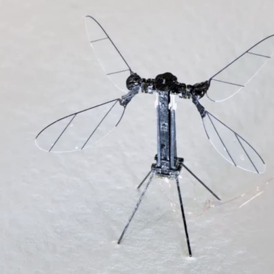 Drone Mikro Nyamuk China: Masa Depan Pengintaian dan Misi Rahasia