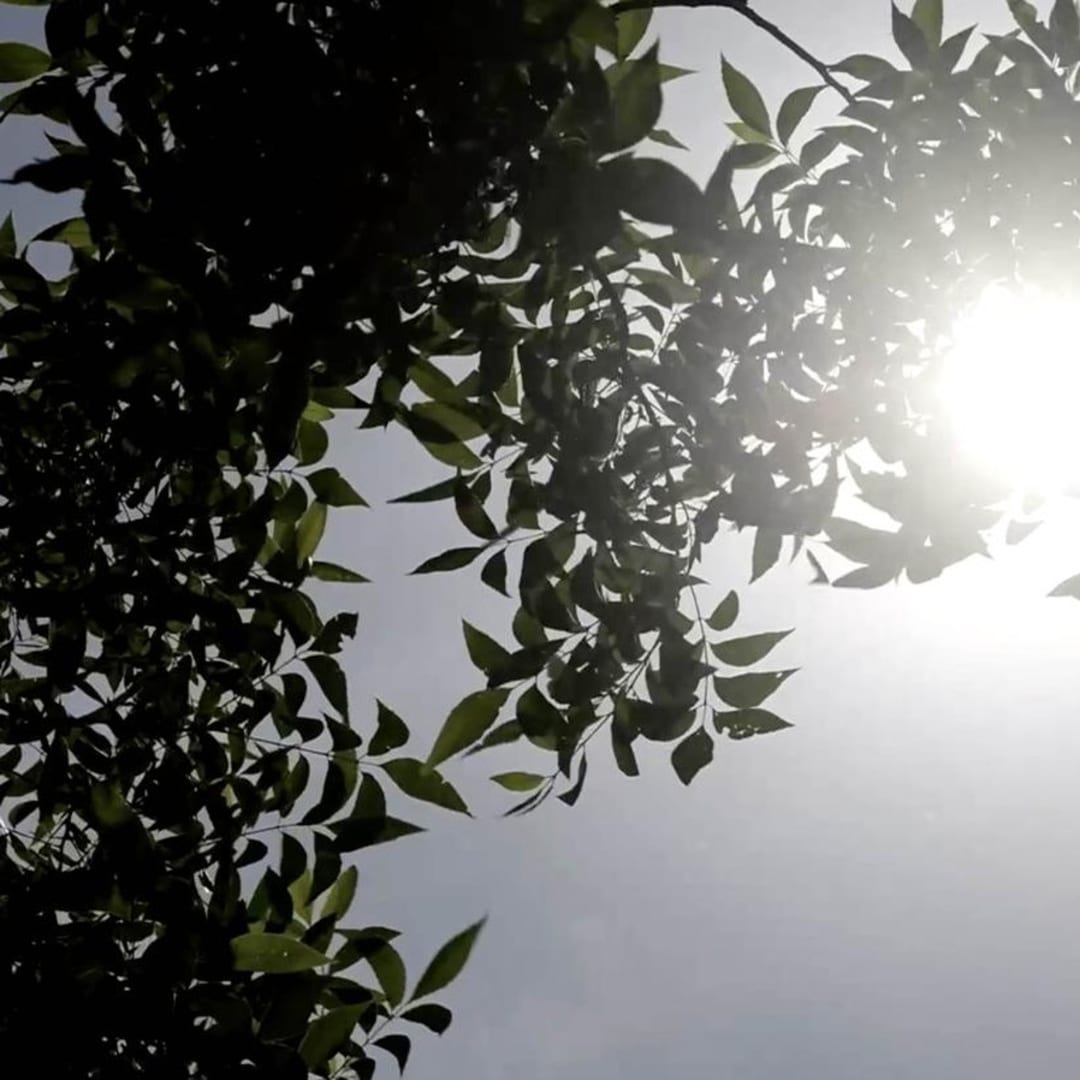 Kadar CO2 Atmosfer Terus Meningkat Tajam, Ancaman Perubahan Iklim dan Cuaca Panas