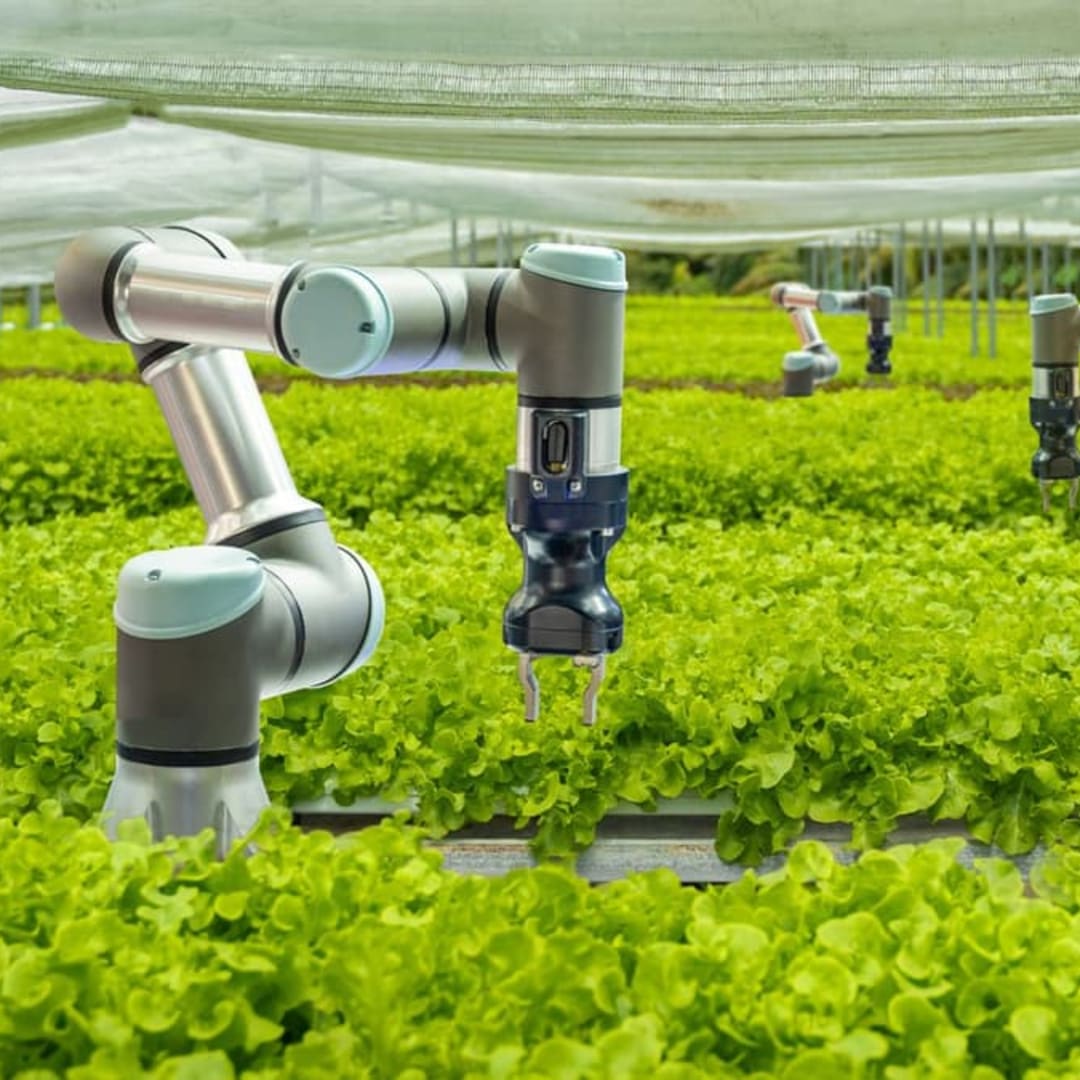 SonicBoom: Sensor Suara Baru Bantu Robot Bertani Navigasi di Tempat Sulit
