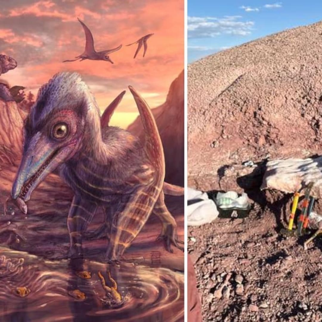 Penemuan Pterosaurus Tertua di Amerika dan Ekosistem Langka Trias di Arizona