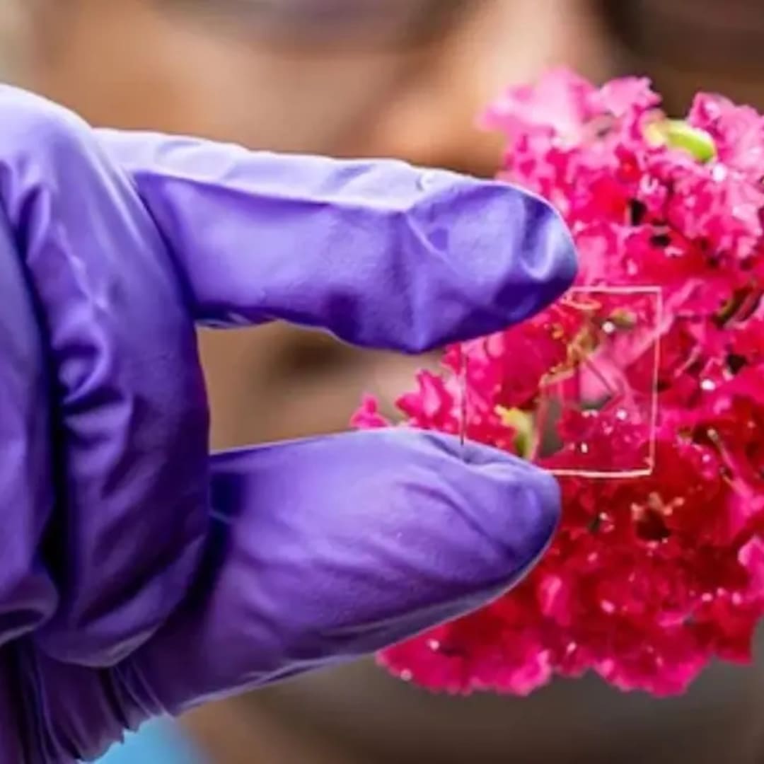 Pelapis Kaca Baru Tahan Panas dan Cuaca untuk Hemat Energi Bangunan