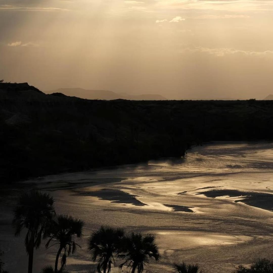 Penemuan Protein Purba Berusia 24 Juta Tahun Ungkap Jejak Evolusi Makhluk Hidup