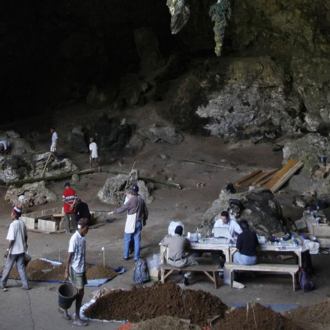 Terungkap! Homo Sapiens dan Neanderthal Berpadu Sejak 250.000 Tahun Lalu