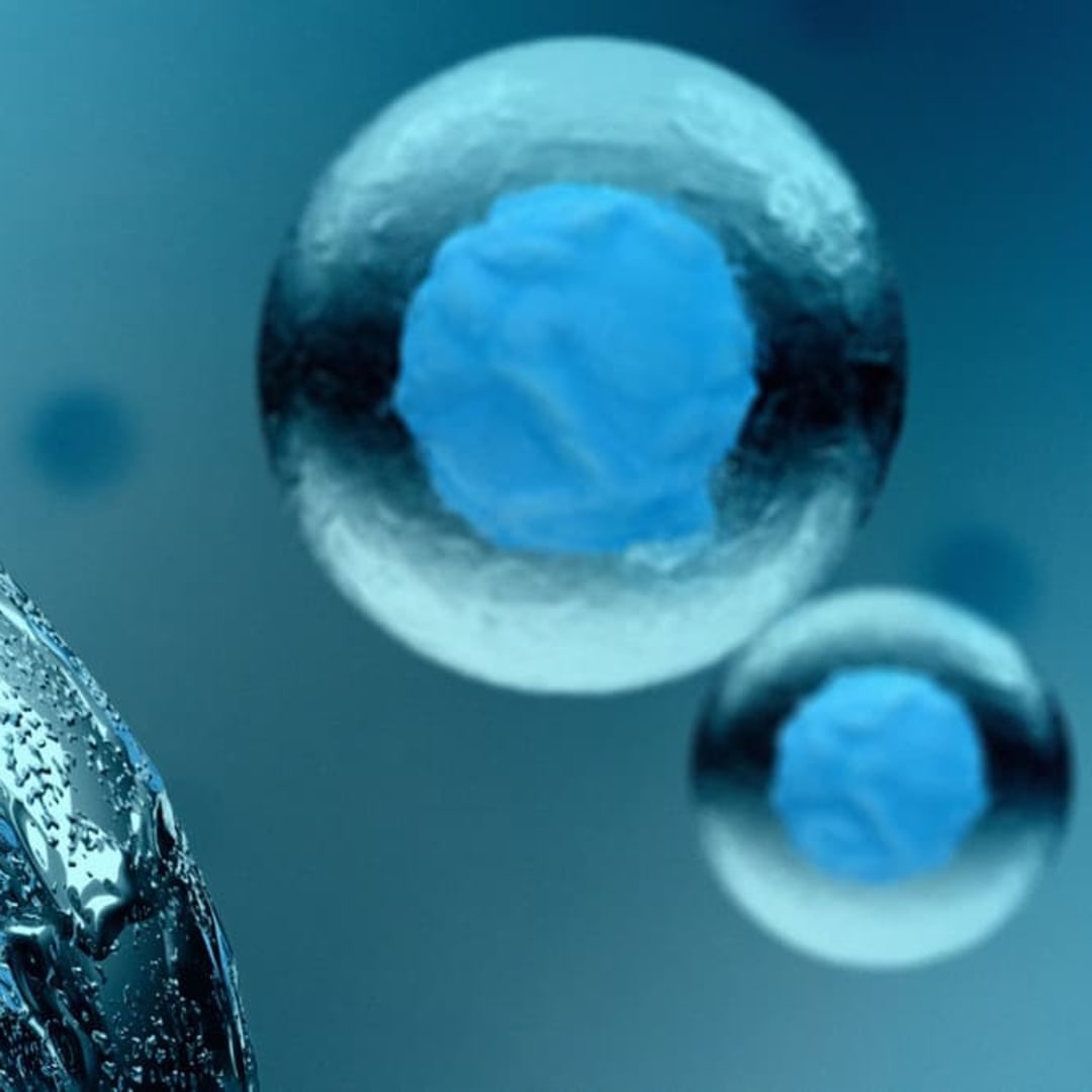 Peneliti Ciptakan Sel Buatan Terp simplest yang Bisa Bergerak Pakai Kimia