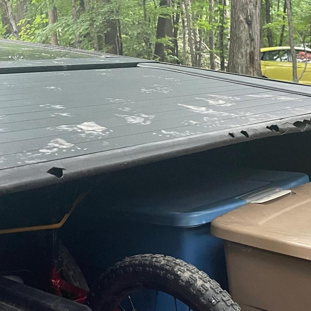 Pendiri Tesla Kritik Cybertruck dan Batalkan Mobil Listrik Murah