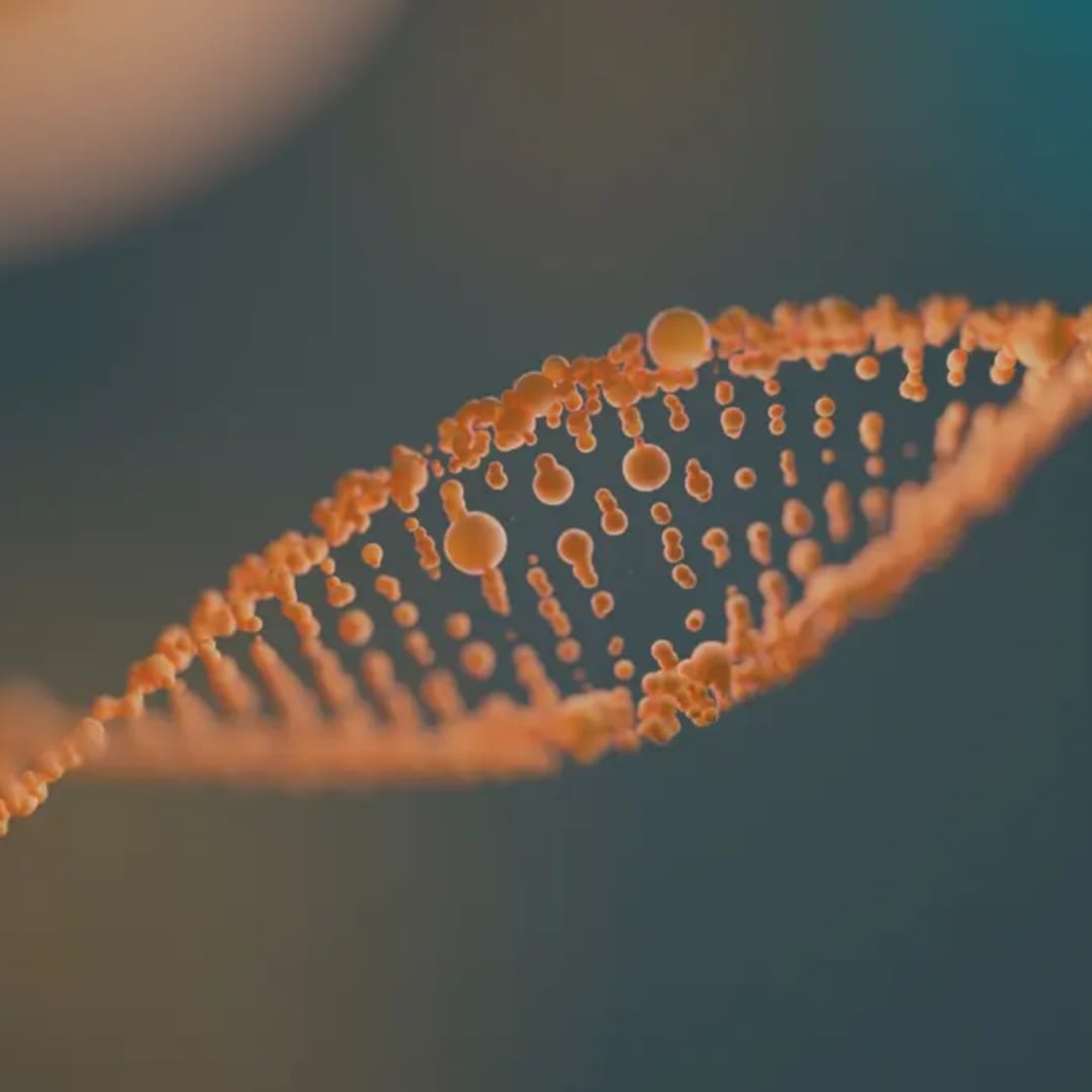 Inovasi Sistem PCE Memudahkan Pengeditan Jutaan Pasang Basa DNA
