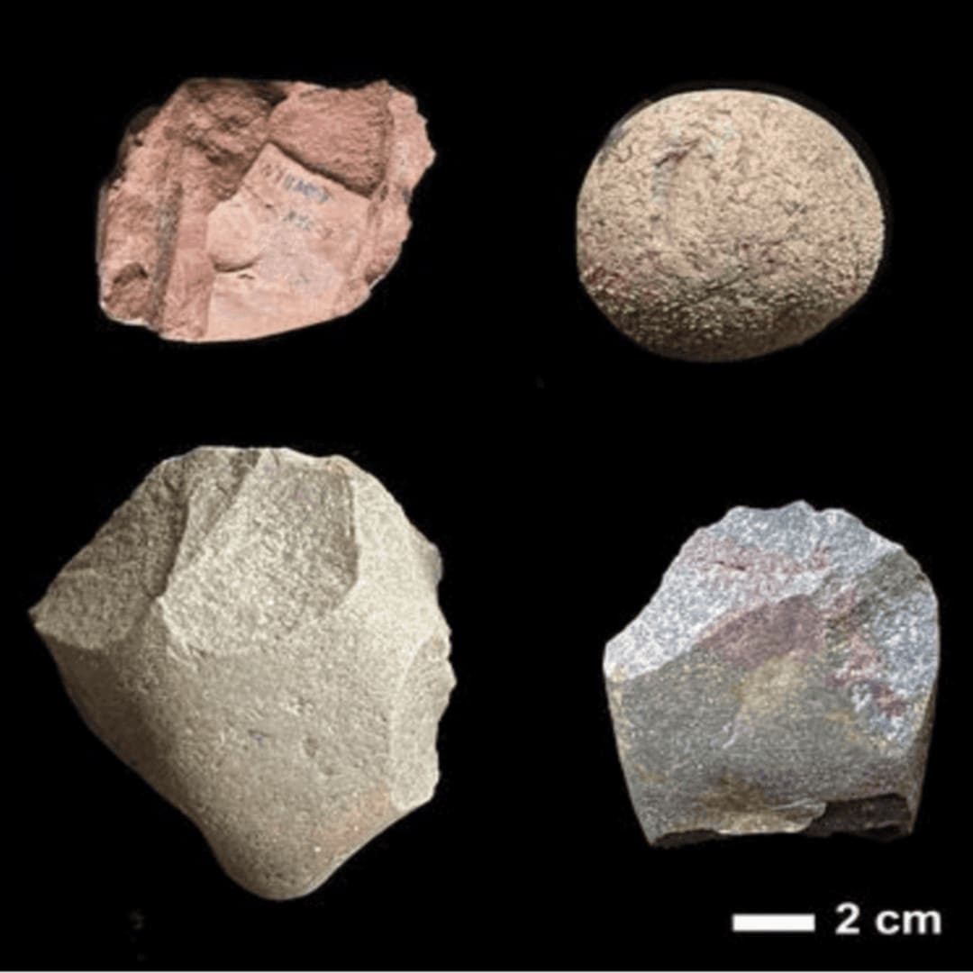 Toolkit Oldowan 2,6 Juta Tahun Ungkap Perjalanan Alat Batu Manusia Purba