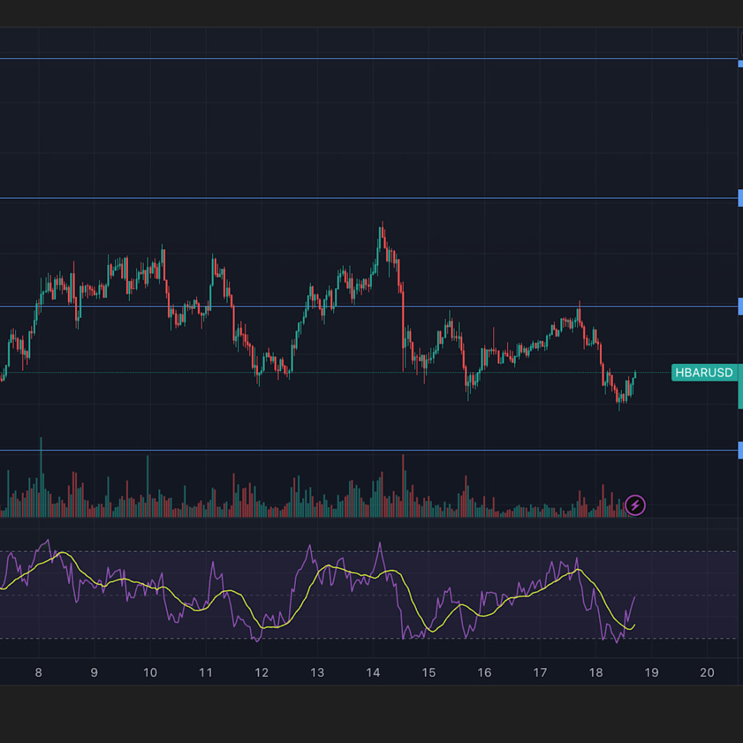 HBAR Turun Drastis Tapi Prospek Jangka Panjang Tetap Optimis
