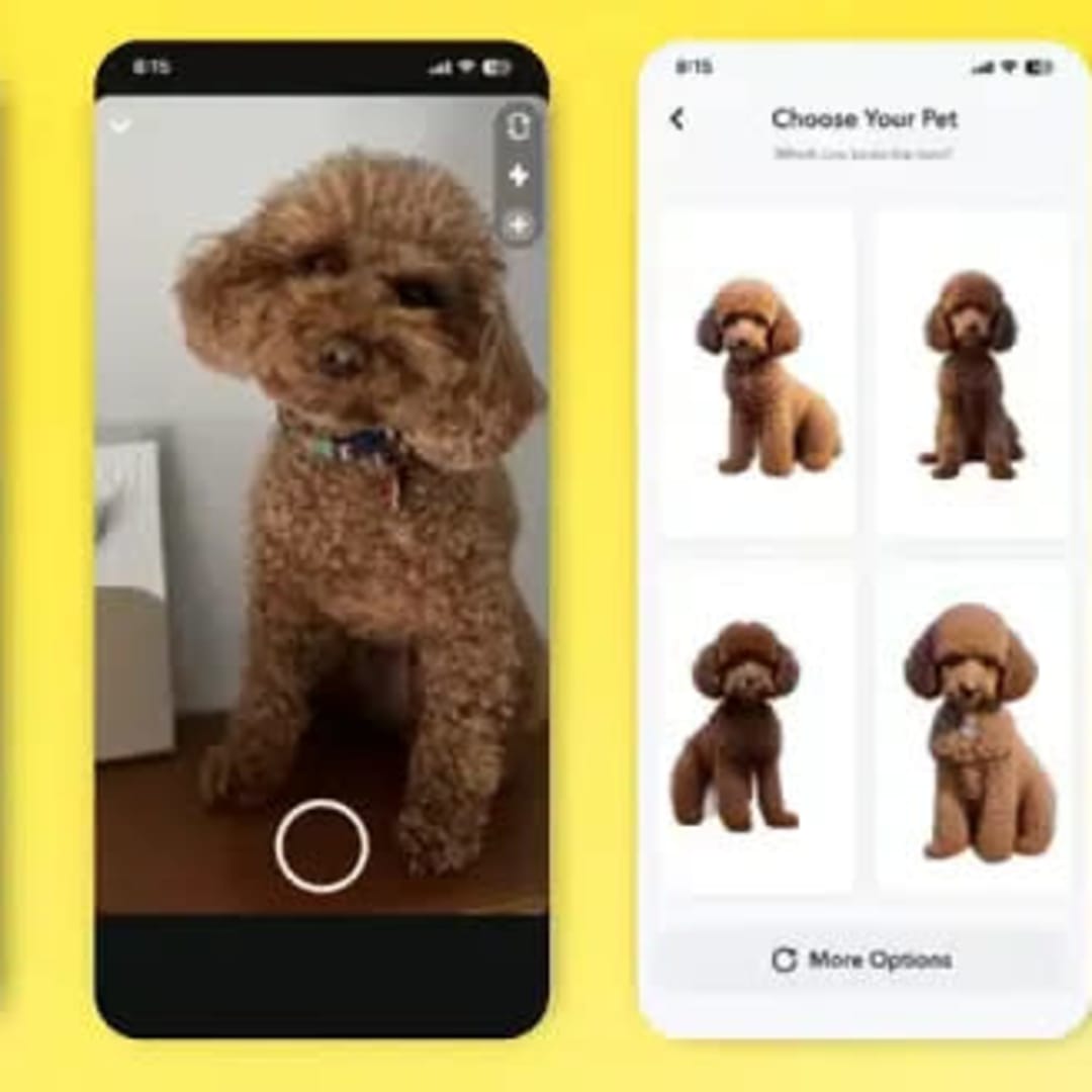 Instagram Luncurkan Hewan Peliharaan Virtual, Menambah Keseruan Avatar Digital