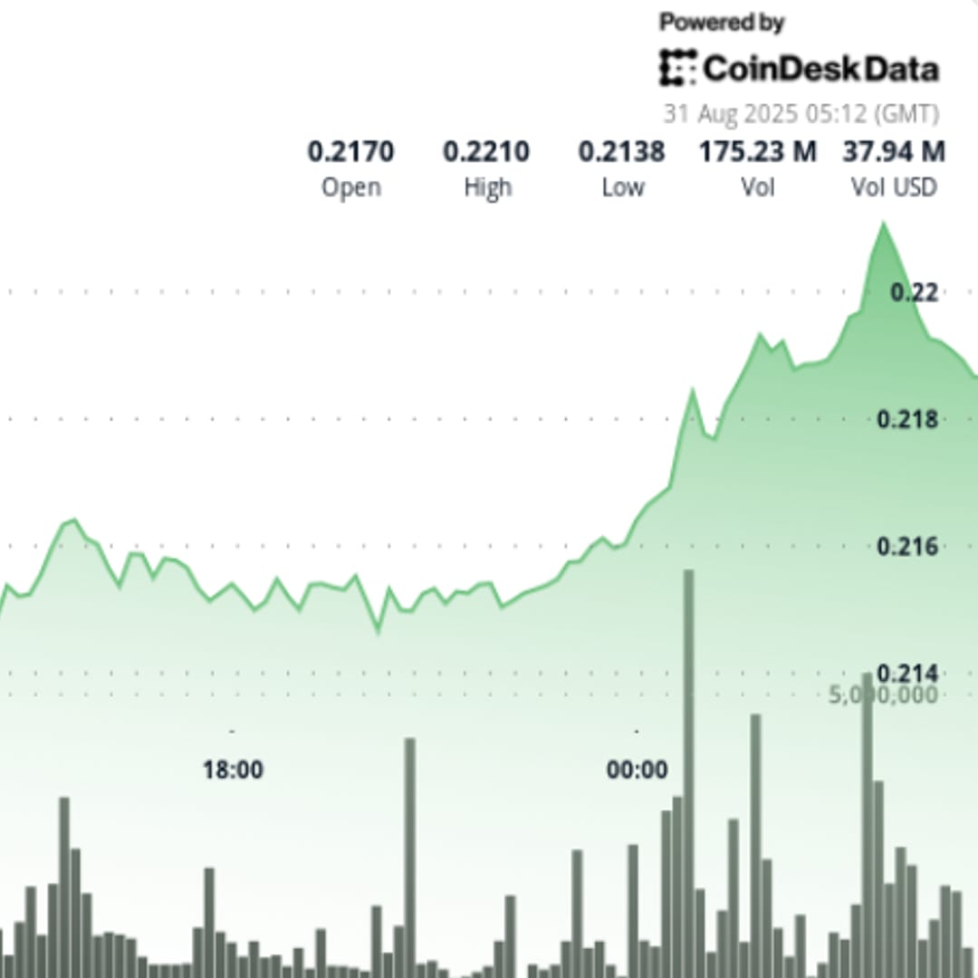 Analisis Penurunan Harga Dogecoin dan Peran Whale dalam Volatilitas Pasar