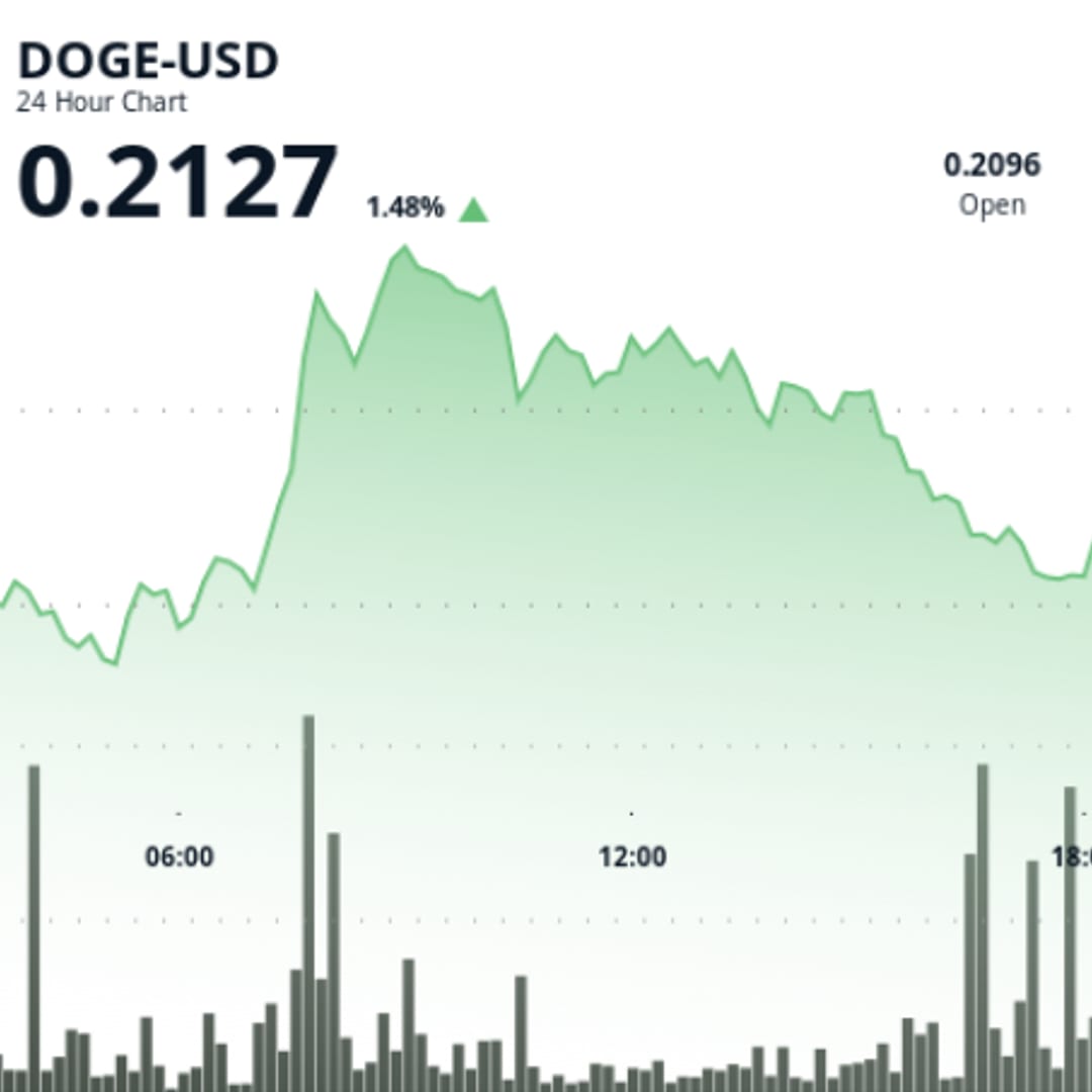 Dogecoin Bergerak Volatil dengan Aktivitas Institusional Tinggi di Tengah Ketegangan Makro