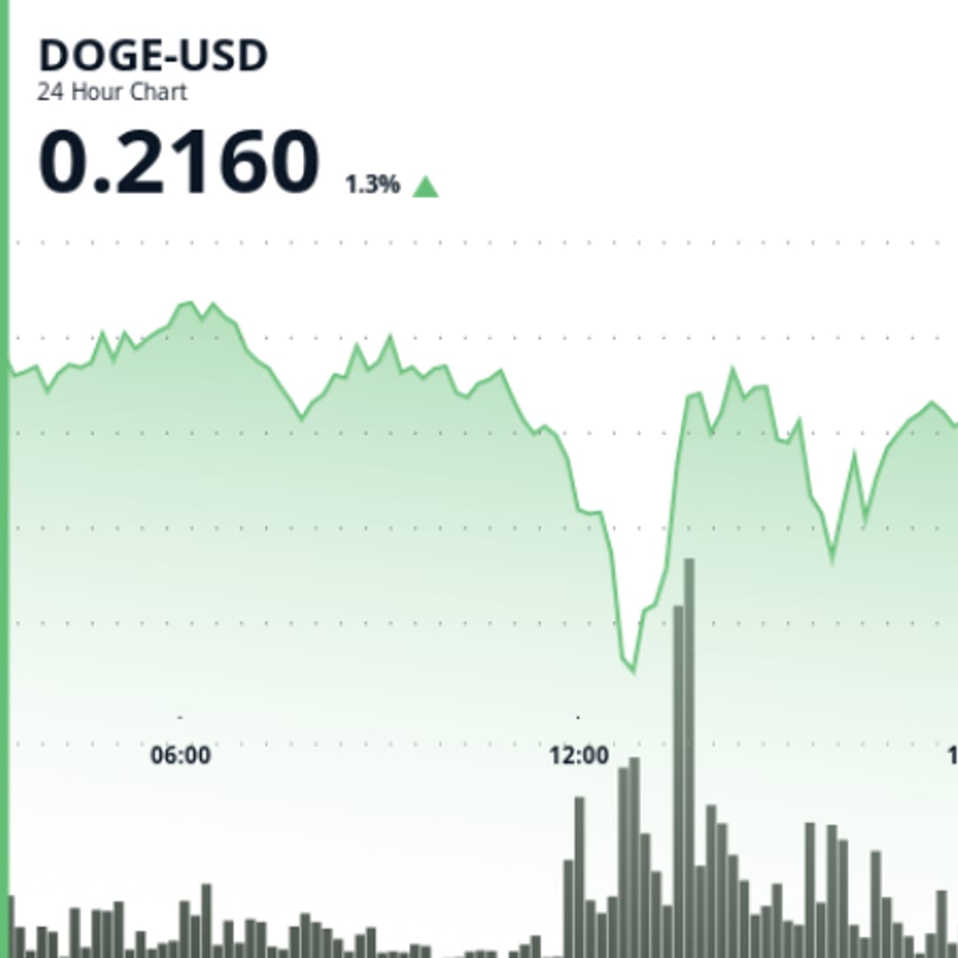 DOGE Bergerak Volatil dengan Spekulasi ETF, Potensi Naik Capai Rp 493.35 ribu ($0,30) 