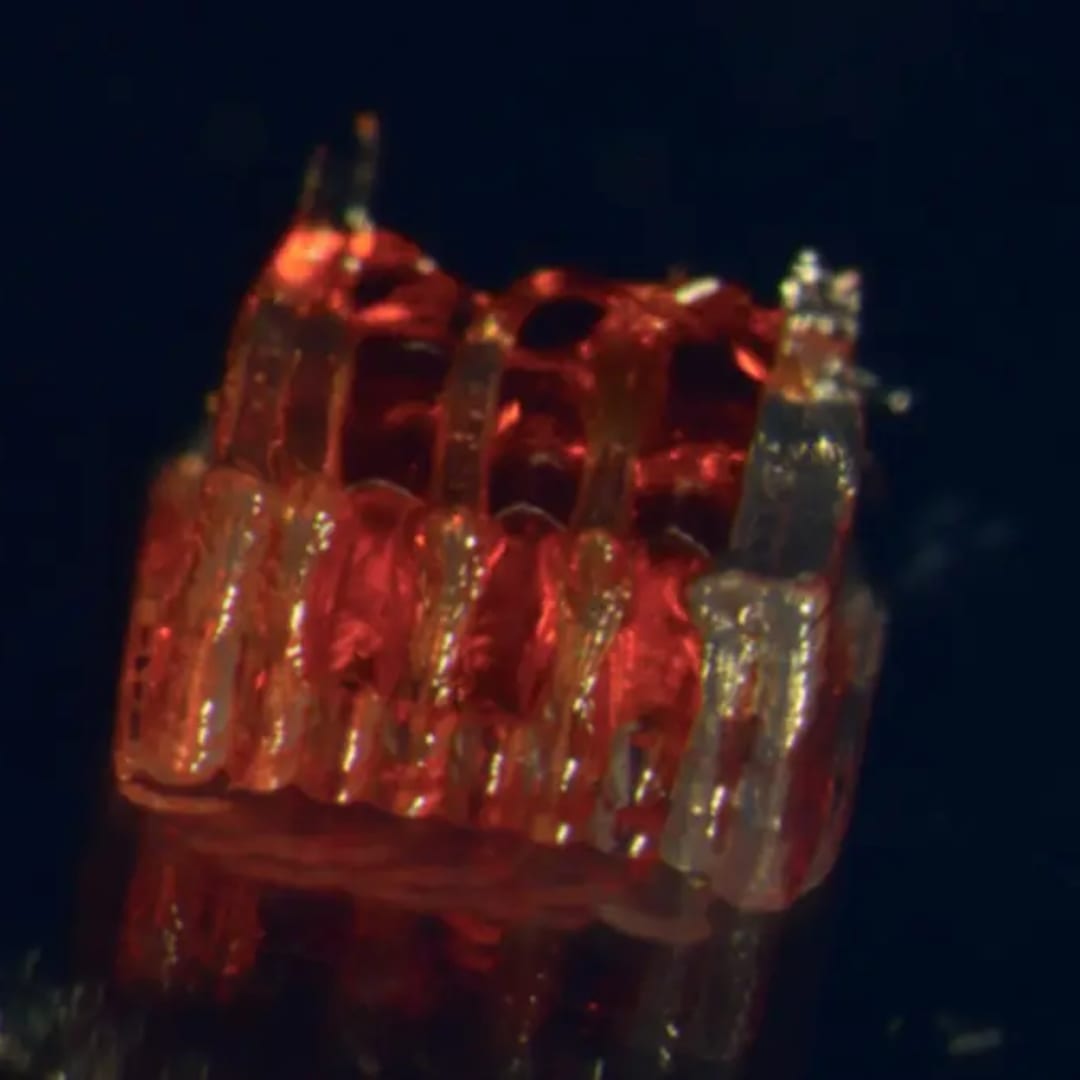 Inovasi 3D Printing dan Sel Punca untuk Memulihkan Cedera Tulang Belakang