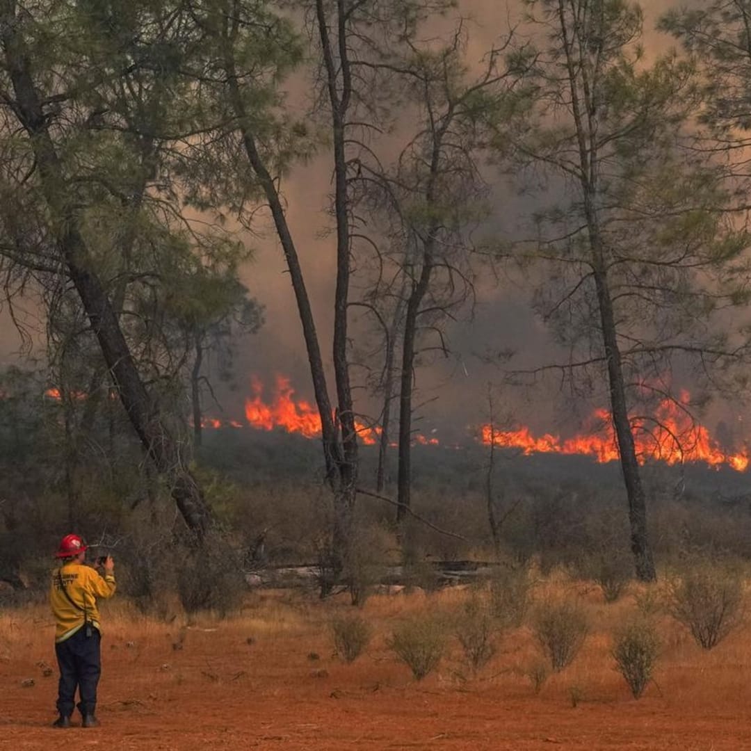 Kebakaran Hutan dan Perubahan Iklim Picu Polusi Udara Tinggi dan Risiko Kesehatan