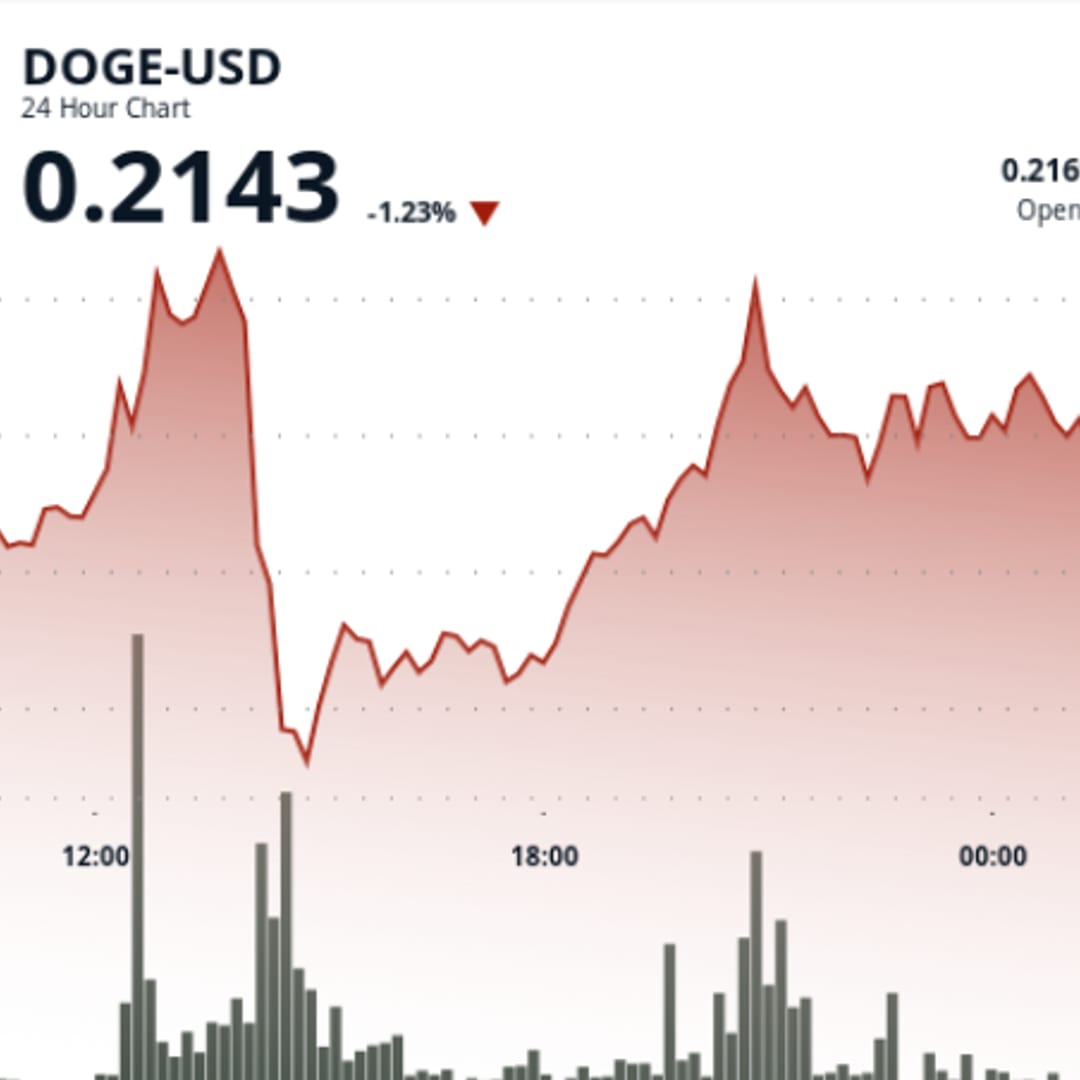 Dogecoin Naik Didukung Investor Besar dan Inisiatif ETF, Target Harga Meningkat