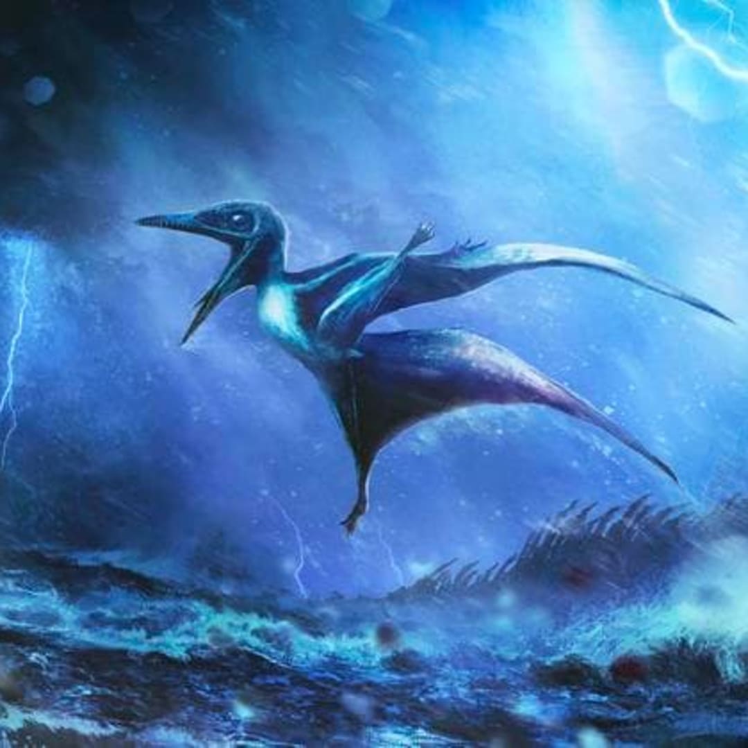 Fosil Bayi Pterosaurus dari Badai 150 Juta Tahun Lalu Pecahkan Misteri Fosil Langka